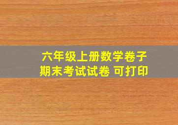 六年级上册数学卷子期末考试试卷 可打印